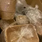 ورقيات اكل احجام واشكال