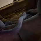 كت باك كرايسلر