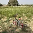 سيكل للبيع