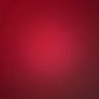 مطلوب كوكاتو امبريلا العمر سنه او اقل