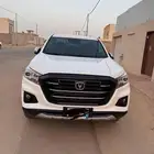 للبيع هنتر شنجان 23