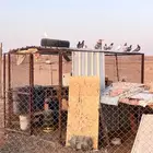 حمام