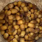 خرفه