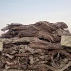 شاص بدون توانك دفاية الشتاء