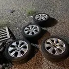 جنوط اكورد