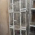 يوجد 5 محاكر حديد