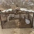 شبك 2في2