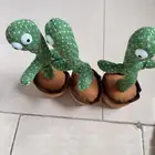 الصبارة الراقصة