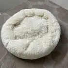 بيت قطه
