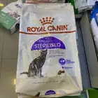 رويال كانين القطط المعقمه