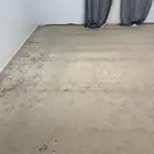 سجاد وستارتين للبيع