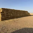 للبيع تبن بر قمح ناعم