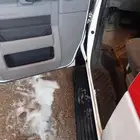 سيارة اسعاف وليس بها اي عيوب للبيع