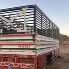 صندوق دينه الوري كبير