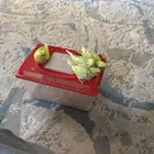 فروخ طقم انتاجي
