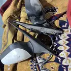 مرايات فورد