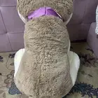 دبدوب