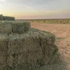 أعلاف بلوبنك