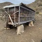 جنوب الطايف