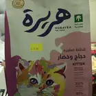 اكل قطط