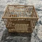 قفص طير على سوم