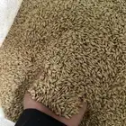 للبيع شعير سداسي 45 كيلو الوزن الكيس