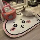 شانشيلا للبيع