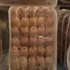 طيور الدخل