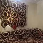 مجلس