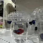 متوفر سمك الفايتر الحبة 6 ريال