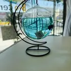 Glass Aquarium with stylish fish