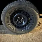 جنوط بلويسي فورد