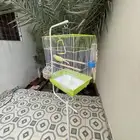 كناري للببع