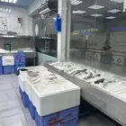 محل اسماك طازجة