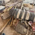 للبيع متفرقات. خيام وعدد مستودع ومضخات. ماء