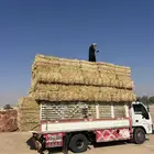 تبن بر صافي