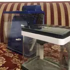 حوضين سمك صغيره ومتوسط للبيع - جاهز للاستخدام