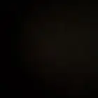 ابي كناري للتبني او اي نوع عصفور