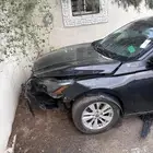 التيماء اسود 2023 مصدوم