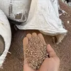 بطحاء حائل