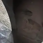 جنوط اودي مقاس 21