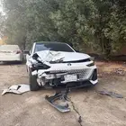 شانجان يوني في 2023