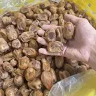 تمر خلاص أشيقر