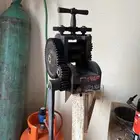 رنيه