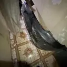 قطع دوج