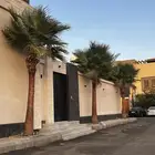 نخل واشنطني ونخل عربي