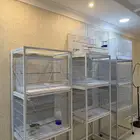 8 اقفاص 601 بحالة ممتازه جدا شبه جديده