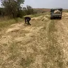 حب   بر بلسمر