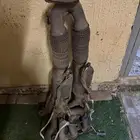 دبات تلوث فوكس