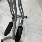 الغزال اوربتكال
